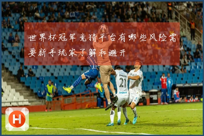 世界杯冠军竞猜平台有哪些风险需要新手玩家了解和避开